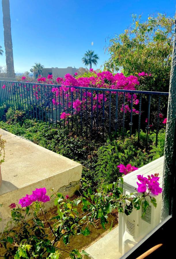 Spectacular Vacation Ocean View Walk To Holiday home *