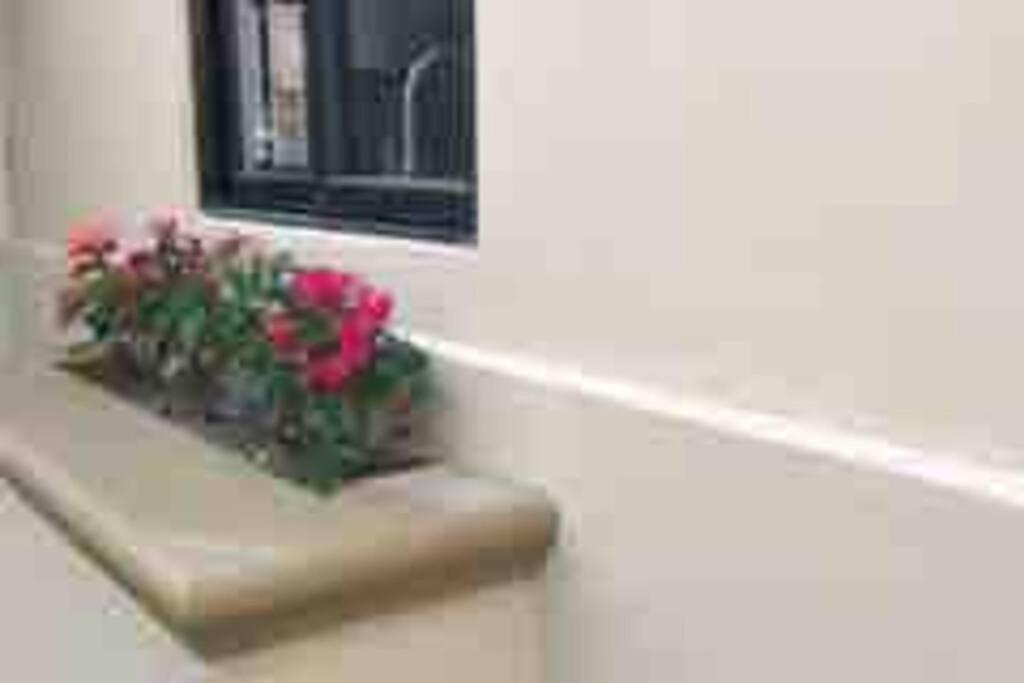 Apartamento Mavila At Quivira Golf & Sea Community Plus Pb Beach Access On Medano Beach *