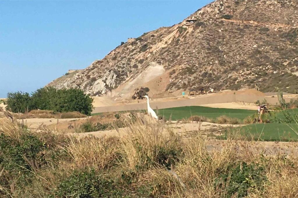 Apartamento Mavila At Quivira Golf & Sea Community Plus Pb Beach Access On Medano Beach Cabo San Lucas