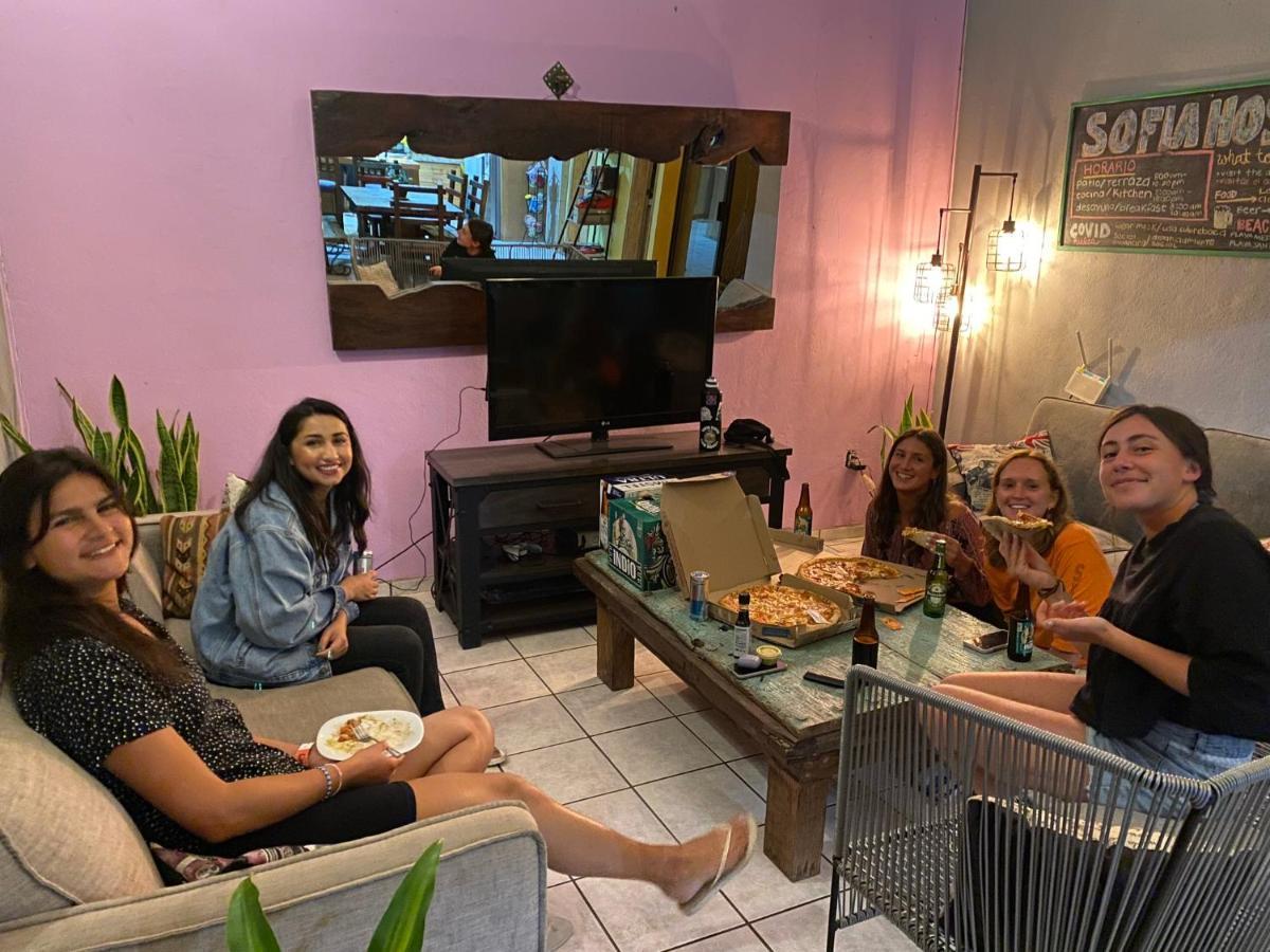 Sofia Cabo Hostel Cabo San Lucas