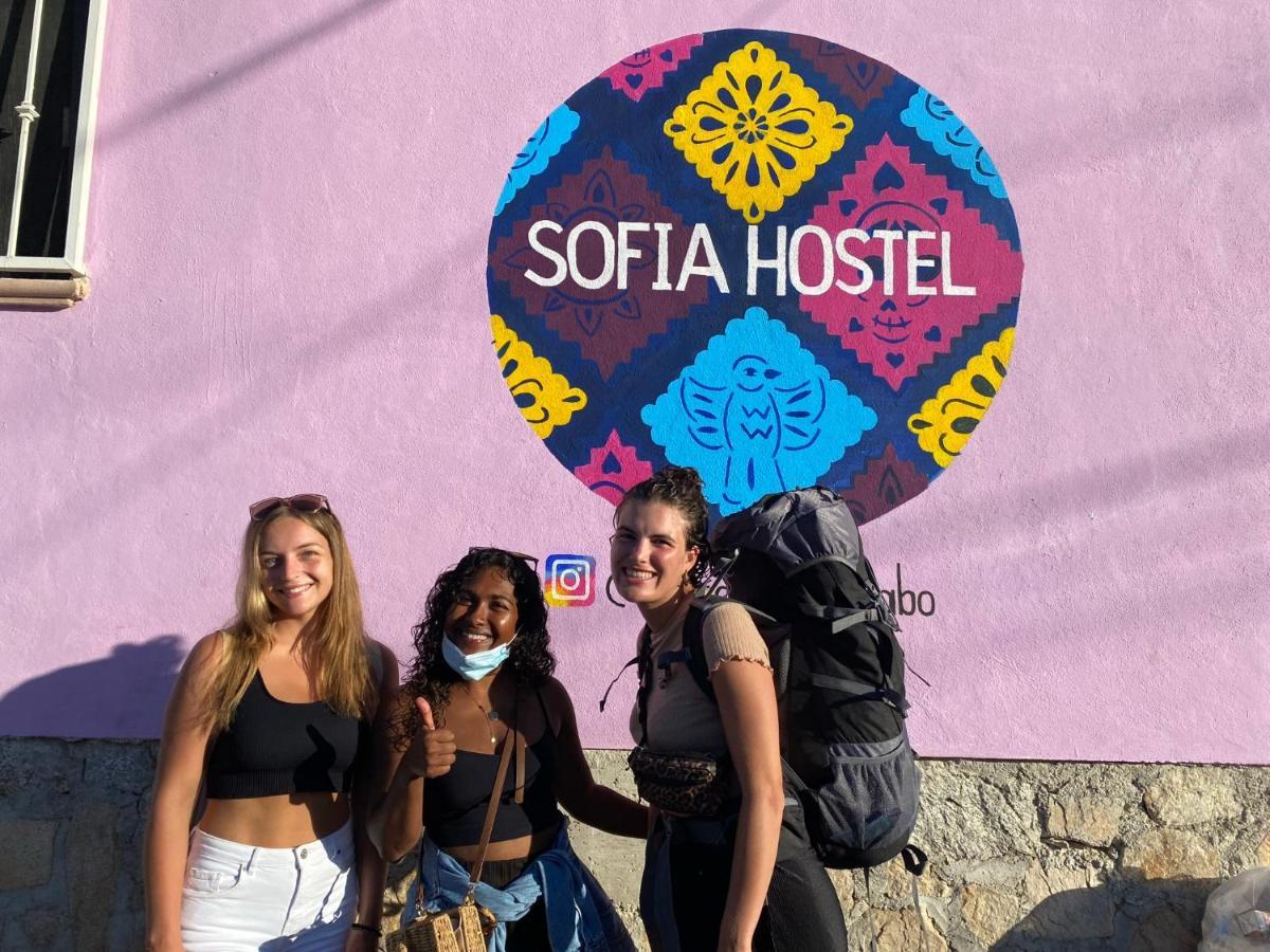 Sofia Cabo Hostel Cabo San Lucas