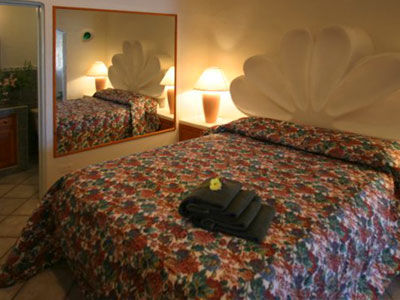 Castillo Blarney 3*