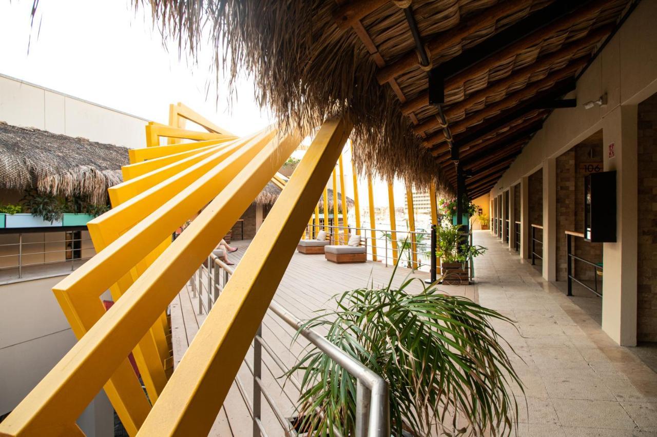 Mayan Monkey Cabos - Social (adults Only)