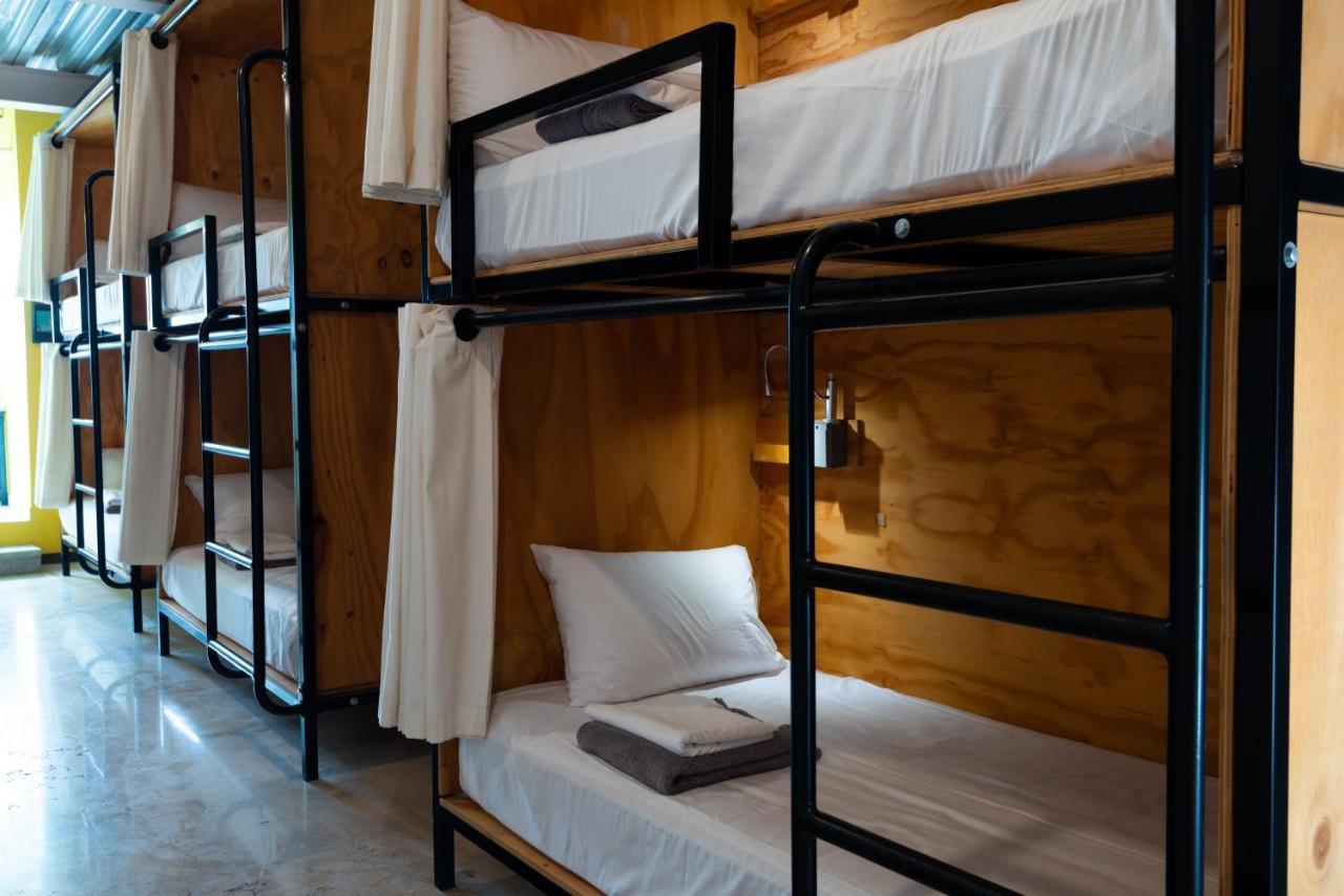 Mayan Monkey Cabos - Social (adults Only) Hotel 4*