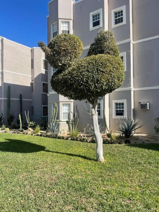 Departamento En 1er Piso 2 Bdr 2bath Tezal * Cabo San Lucas