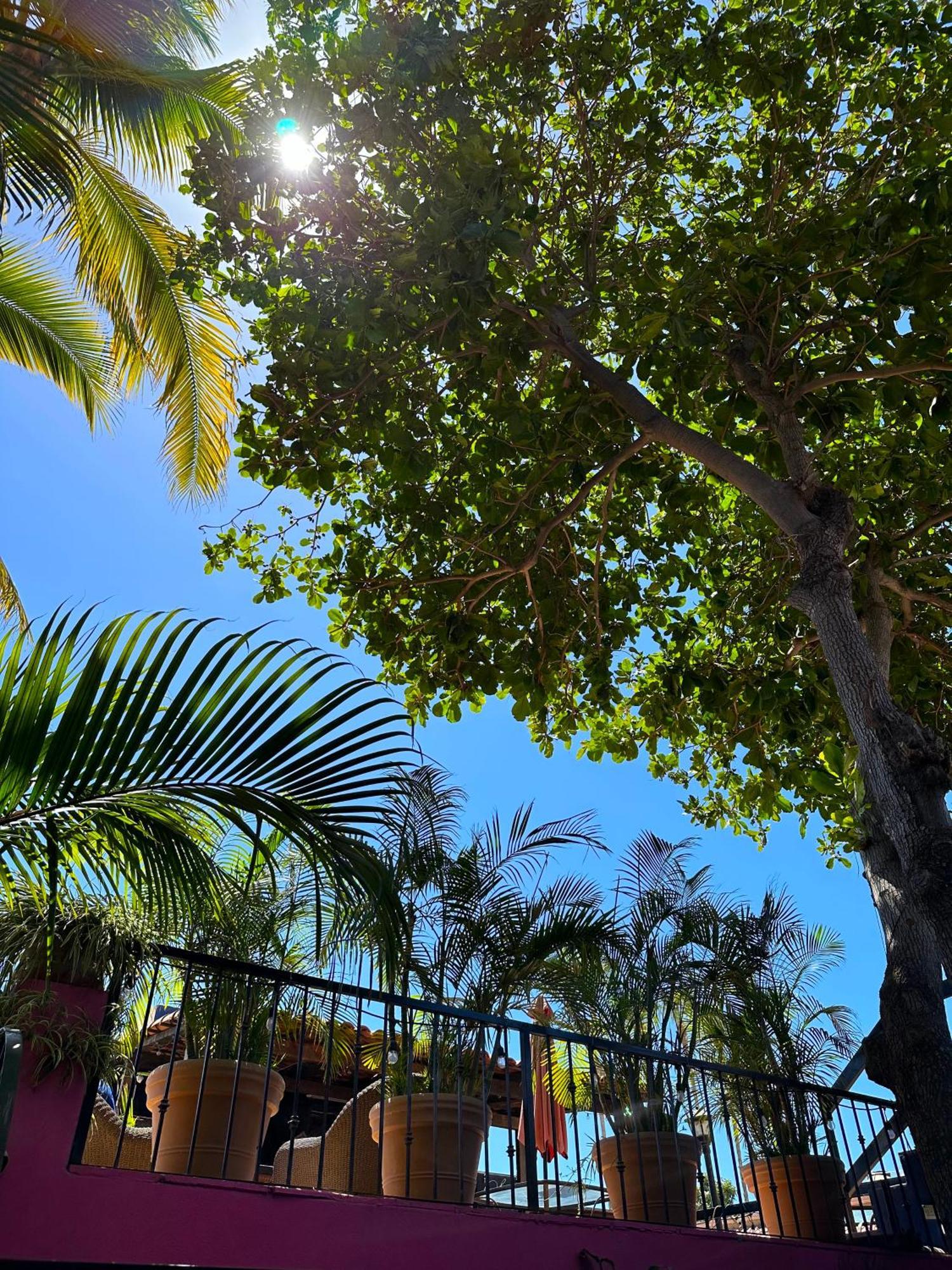 Siesta Boutique Hotel 2*