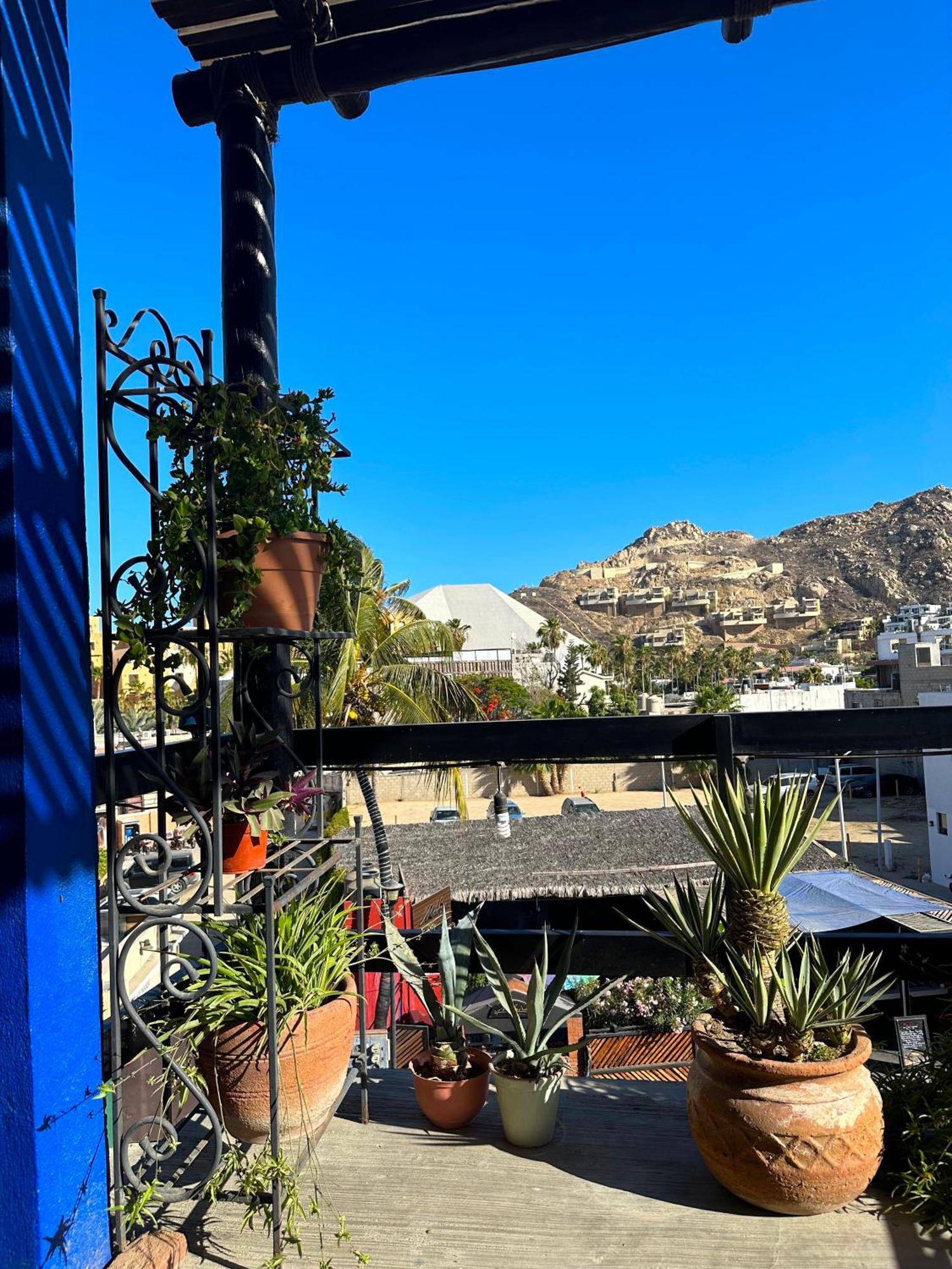 Hotel Siesta Boutique Cabo San Lucas