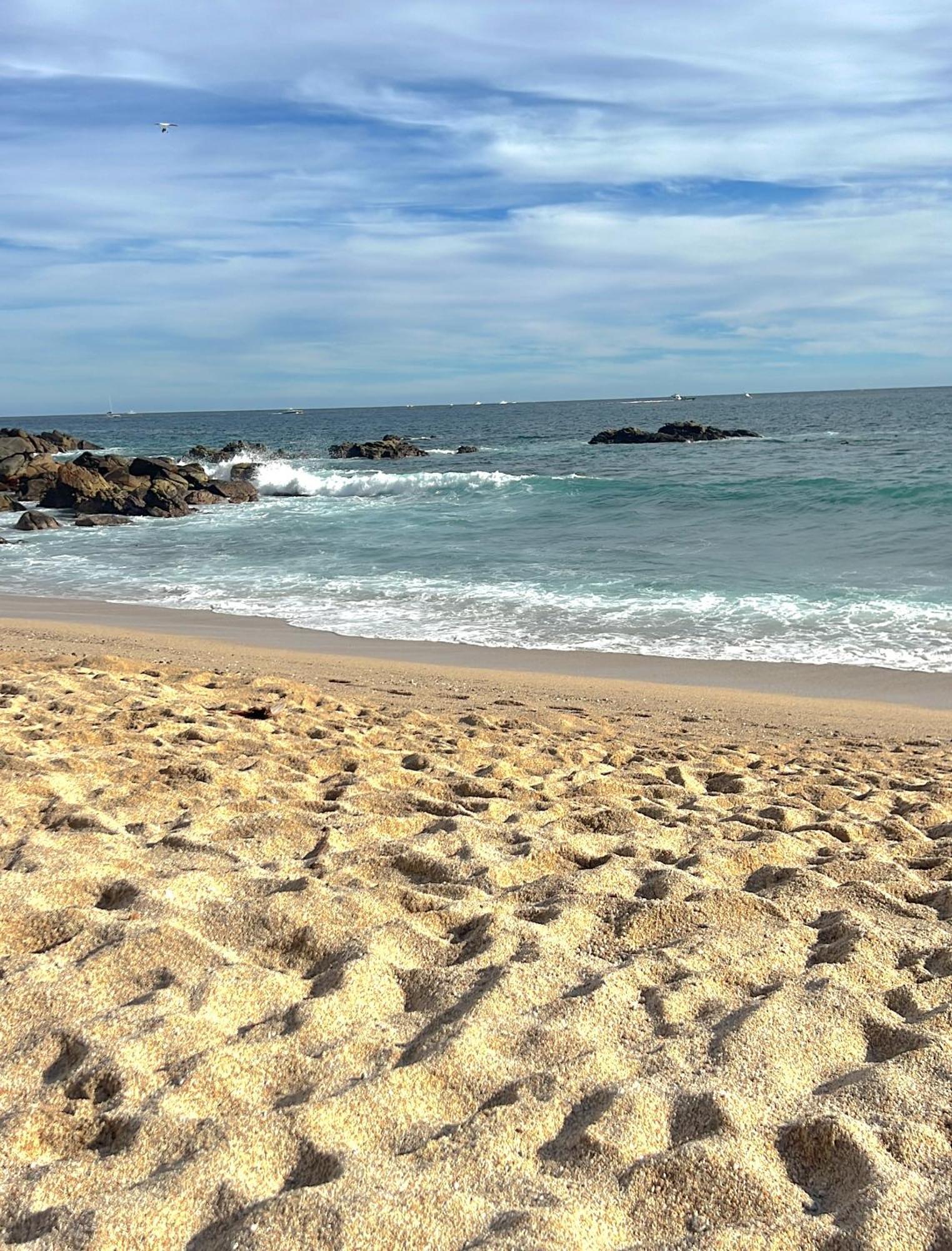Spectacular Vacation Ocean View Walk To Holiday home