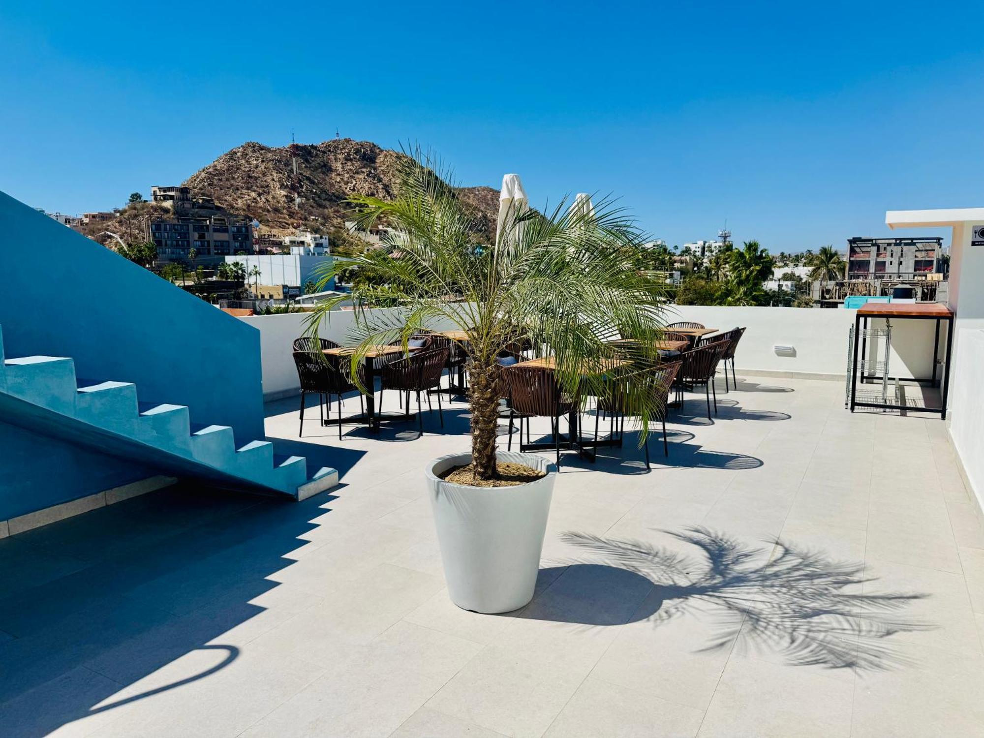 Hotel Colmena Marina Cabos Cabo San Lucas