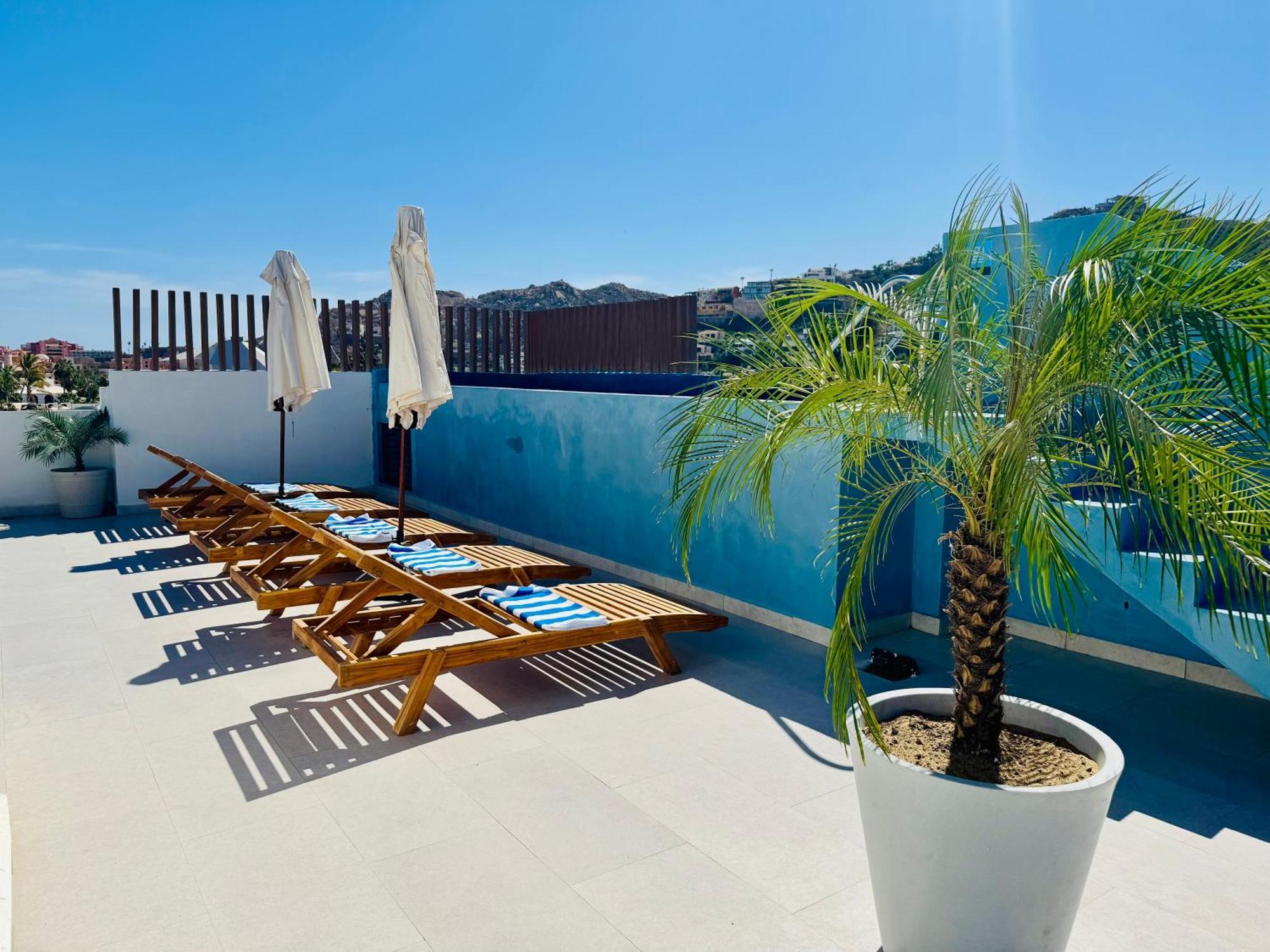 Colmena Marina Cabos Hotel Cabo San Lucas