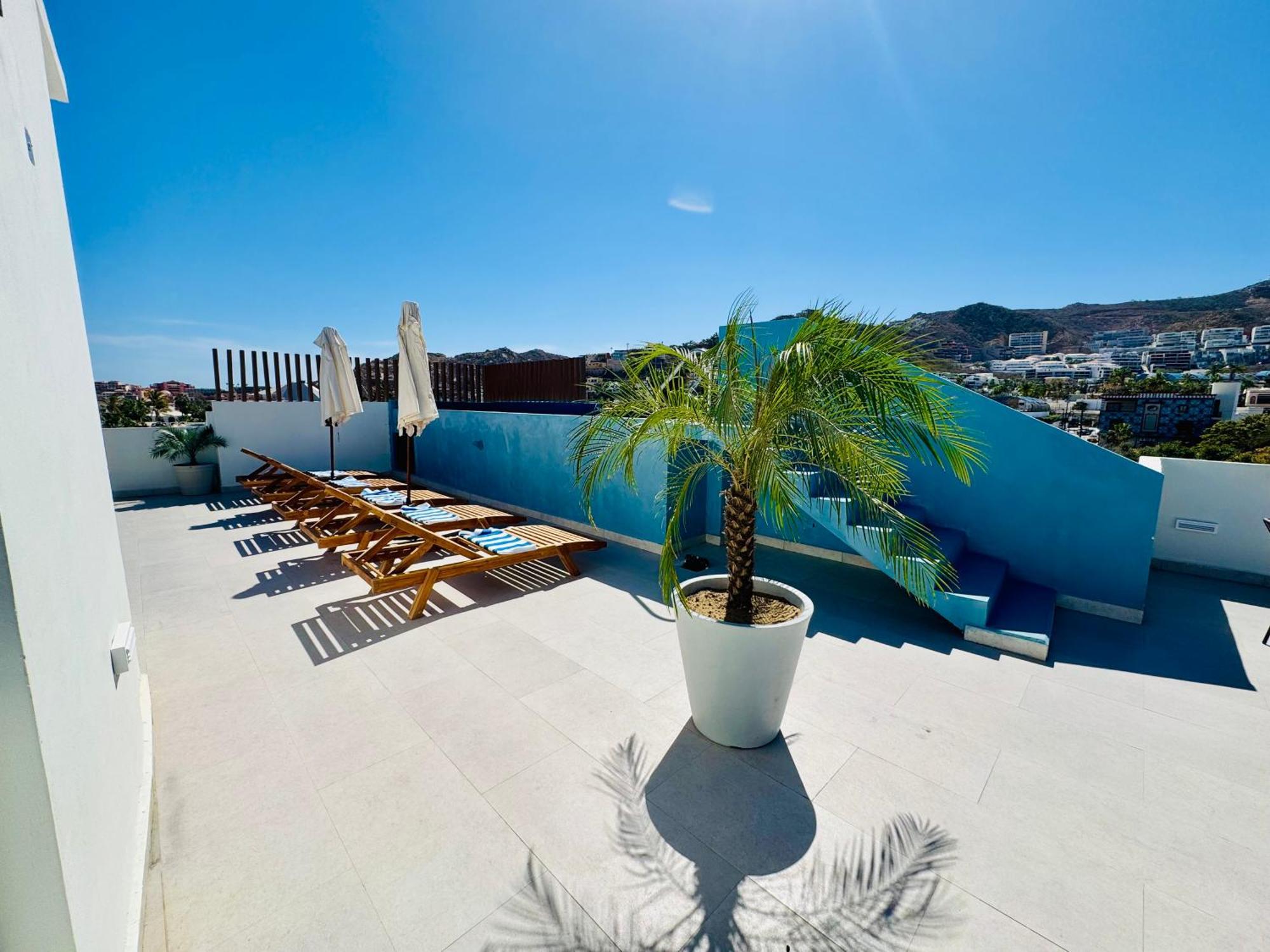 Colmena Marina Cabos Cabo San Lucas
