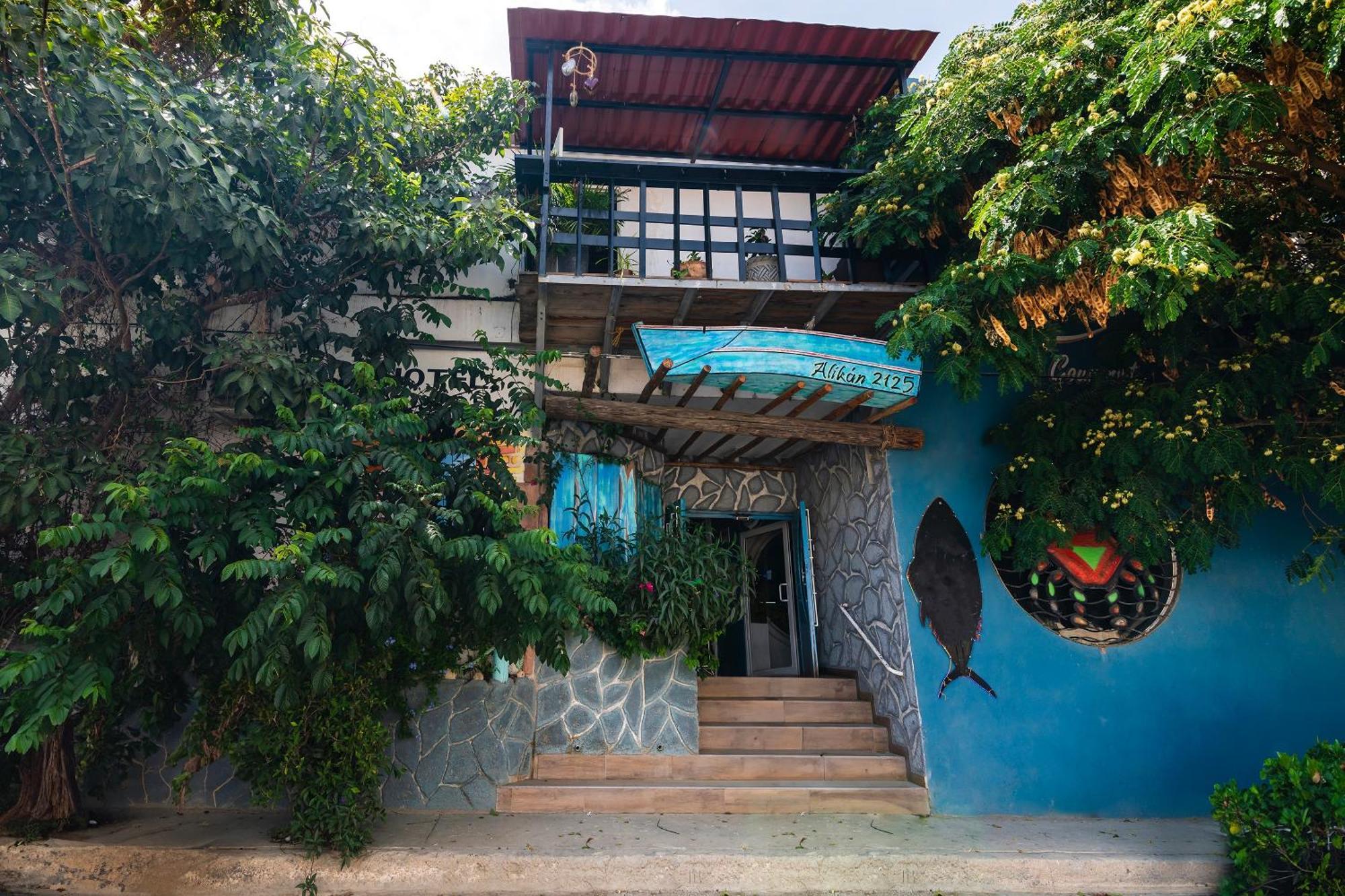Bed & Breakfast Oyo Del Pescador Cabo San Lucas
