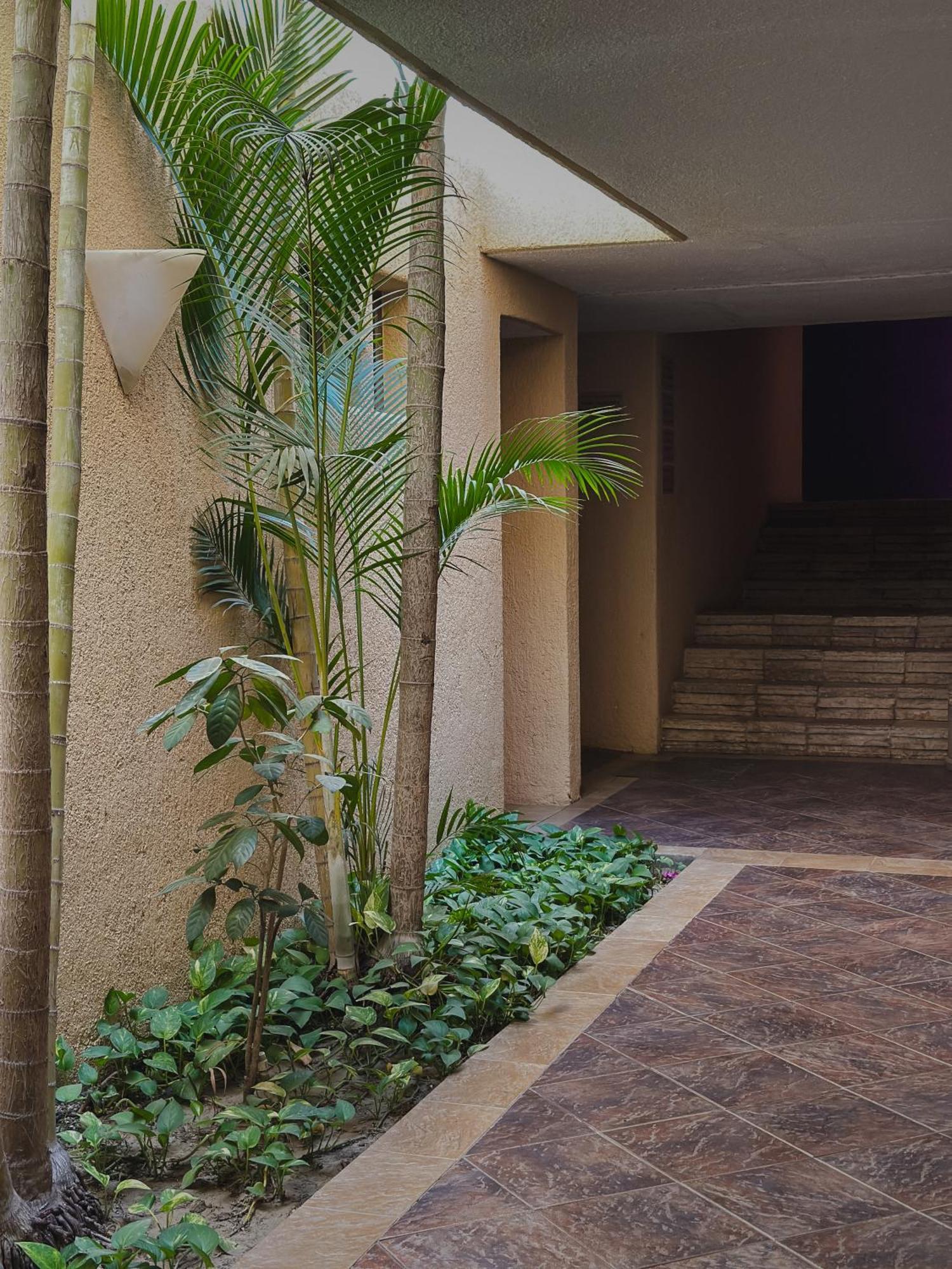 Hotel Patios 4*
