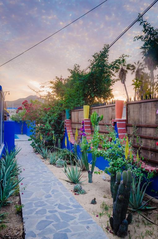 Hostel Ocean Tigers Dive House Cabo San Lucas