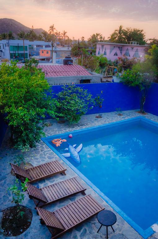 Ocean Tigers Dive House