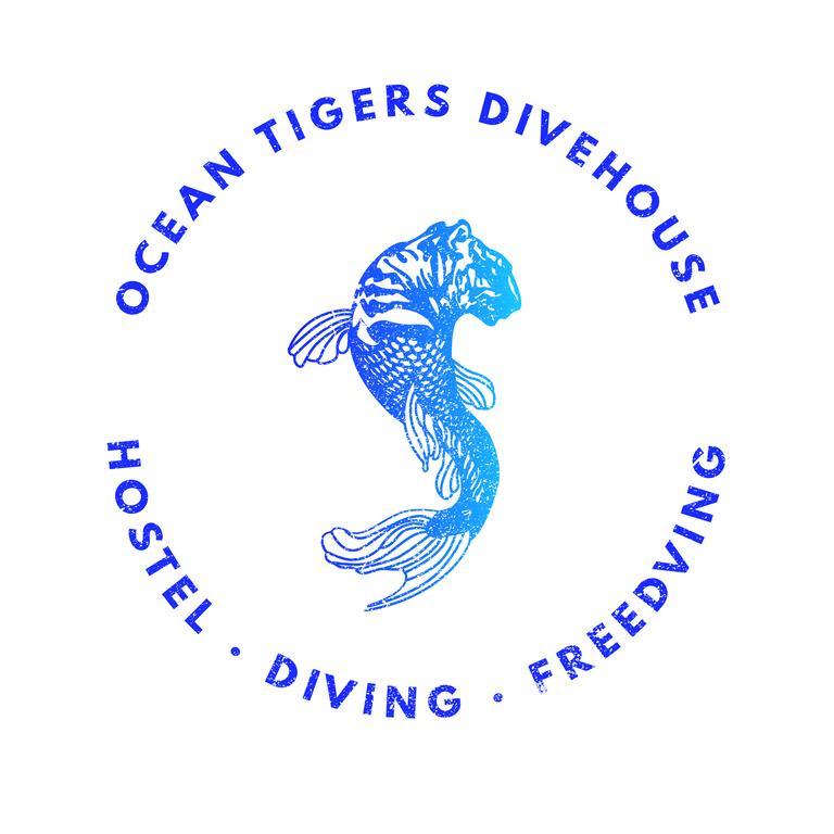 Hostel Ocean Tigers Dive House Cabo San Lucas