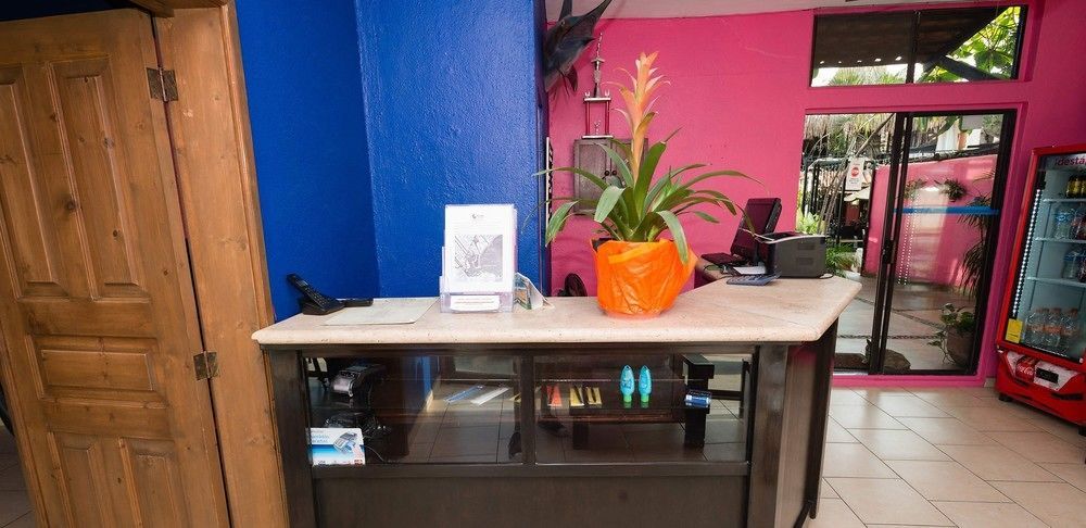 Siesta Boutique 2* Cabo San Lucas