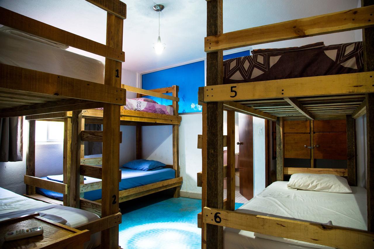 Ocean Tigers Dive House Hostel
