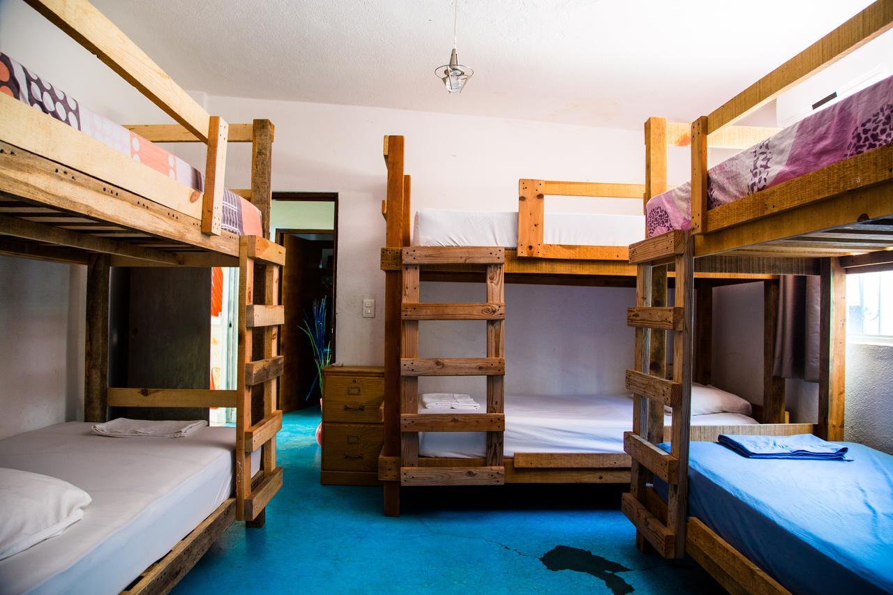 Hostel Ocean Tigers Dive House *