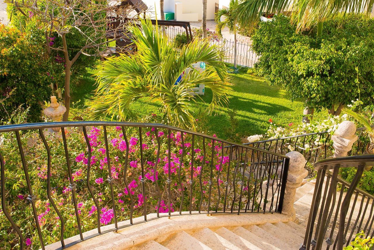 Spacious Cabo For Large Groups Alegria *
