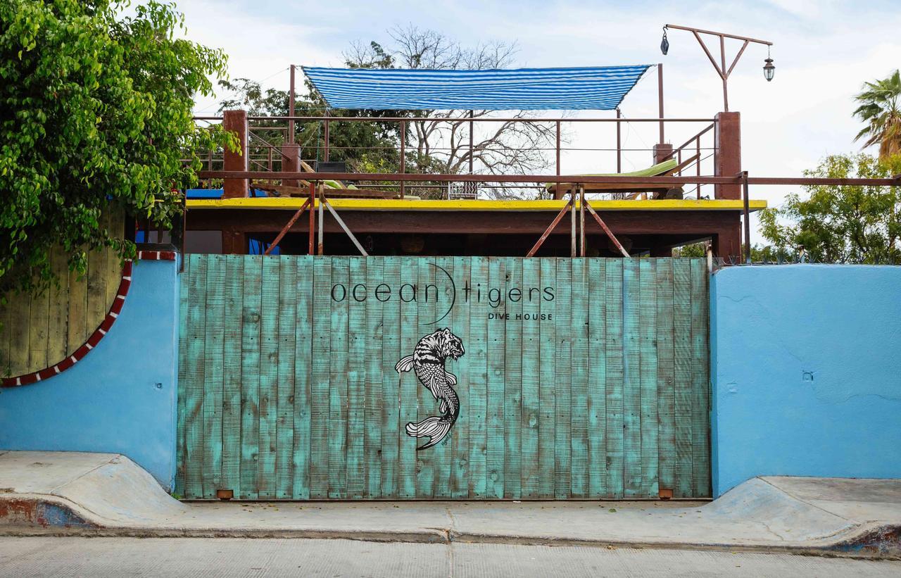 Ocean Tigers Dive House *