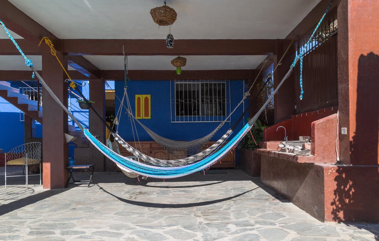 Hostel Ocean Tigers Dive House