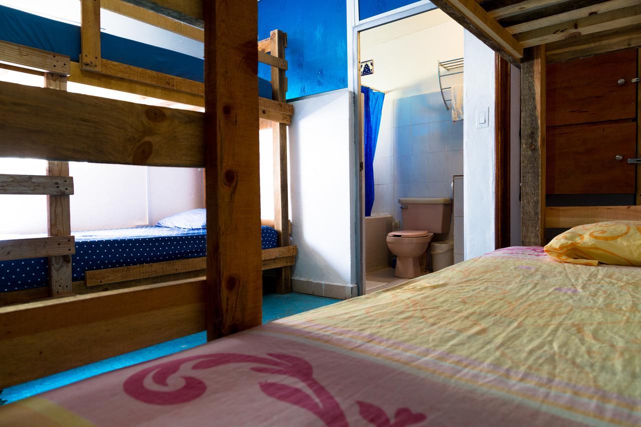 Hostel Ocean Tigers Dive House
