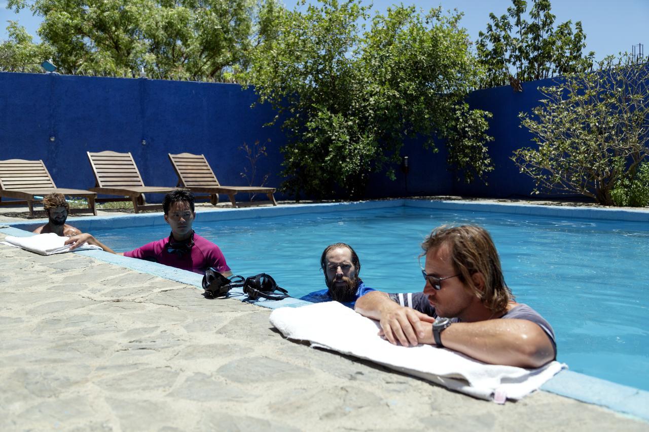 Ocean Tigers Dive House * Cabo San Lucas
