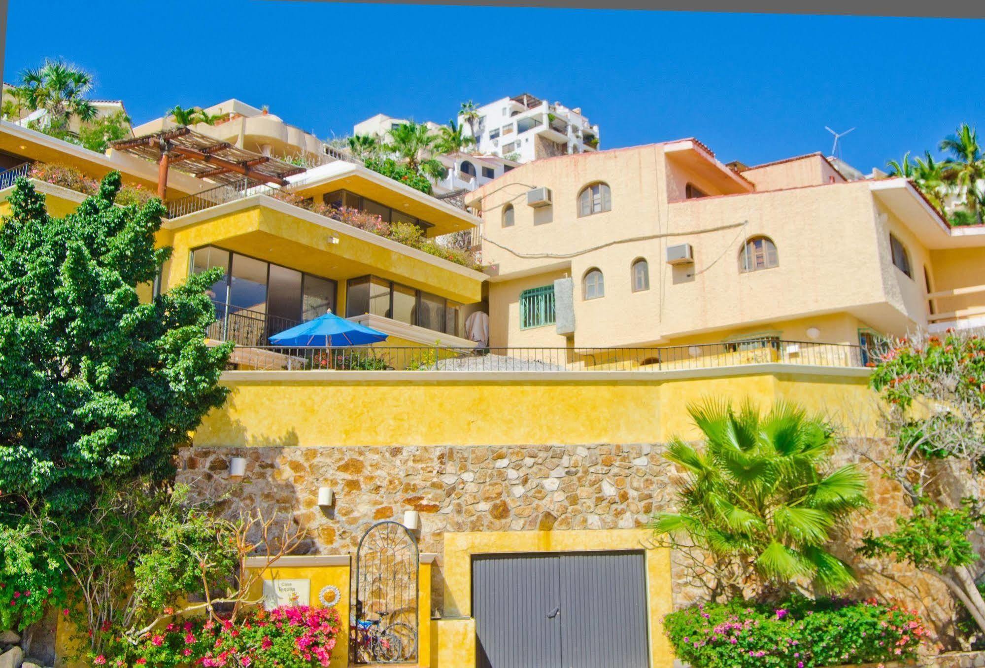 Hotel Tequila Cabo San Lucas