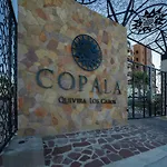 Spacious New 3Br Villa At Copala-Quivira