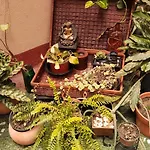 Studio In The Heart Of Cabo San Lucas
