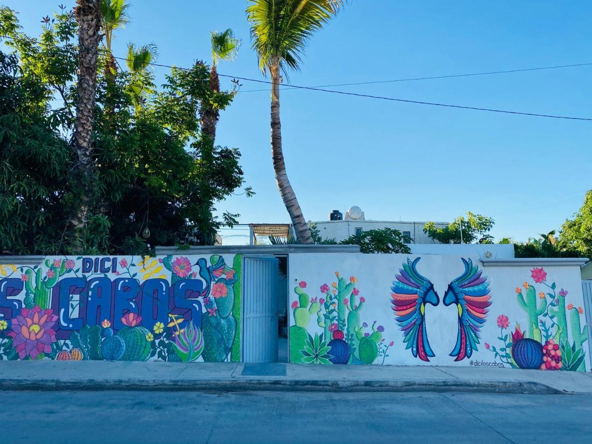 Homestay The Blue Flowers At Dici Coliving Housing Cabo San Lucas
