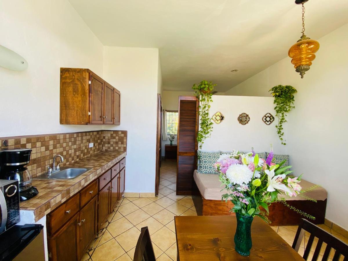 Guest house Apartamento Cabo San Lucas