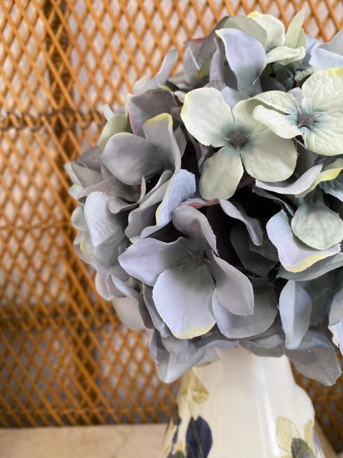 The Blue Flowers At Dici Coliving Housing Cabo San Lucas