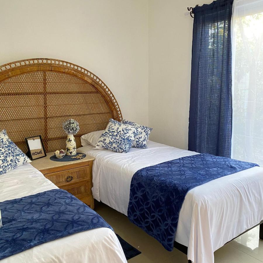 The Blue Flowers At Dici Coliving Housing