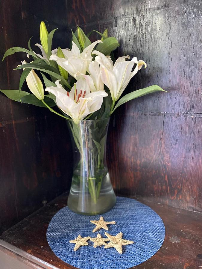 The Blue Flowers At Dici Coliving Housing Homestay