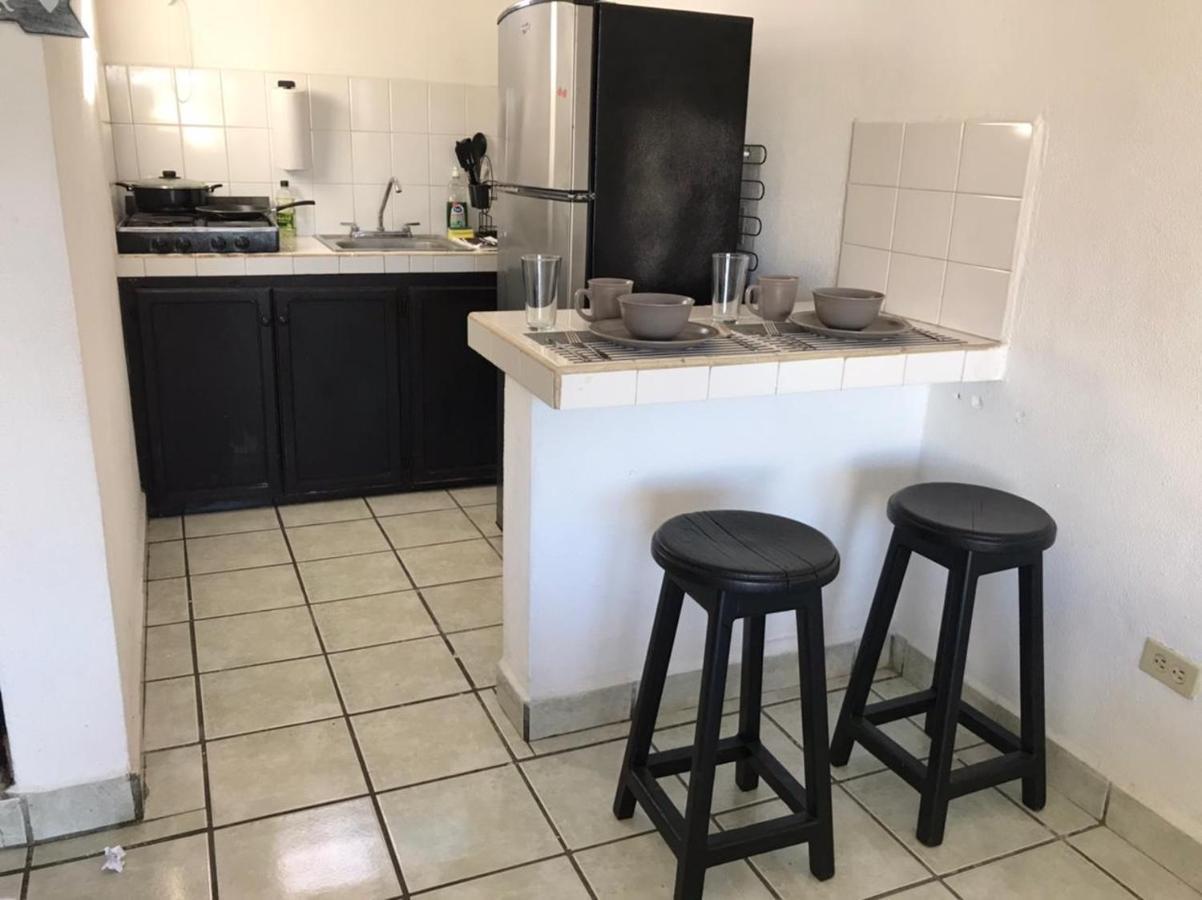 The Next Door Black And White Studio In Cabo Apartment