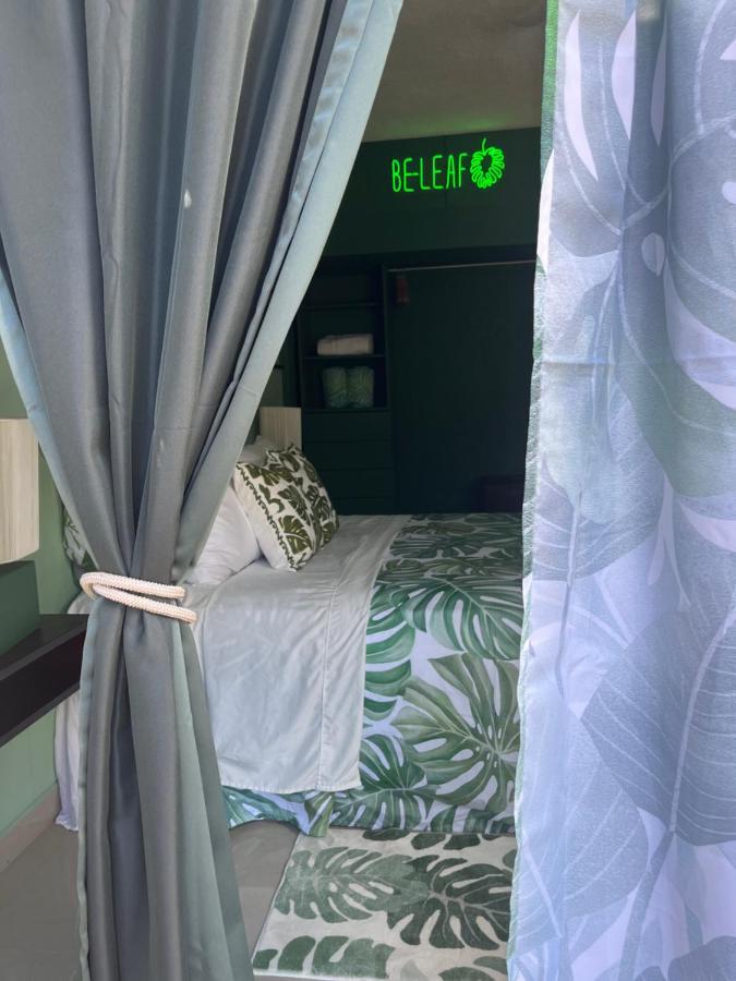 Dici Co-living Housing Cabo San Lucas