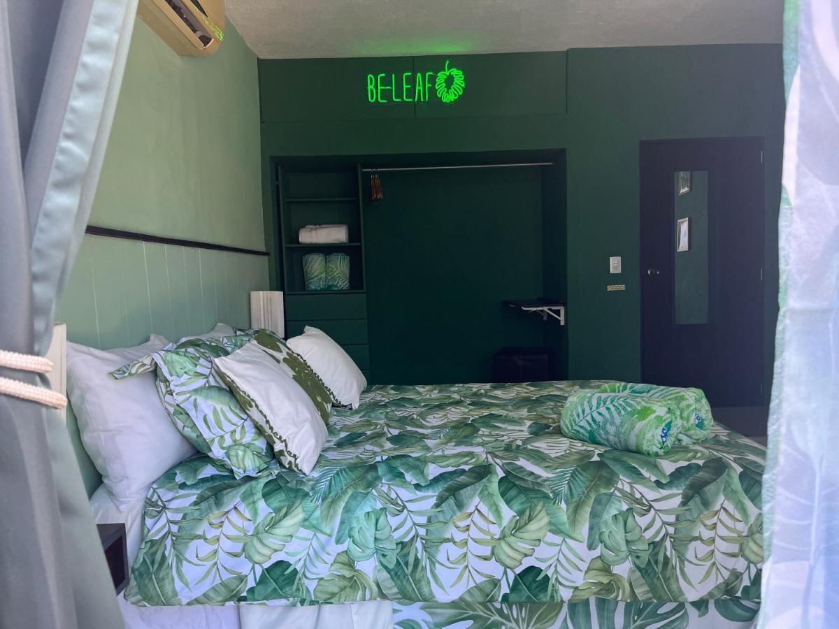 Dici Co-living Housing * Cabo San Lucas
