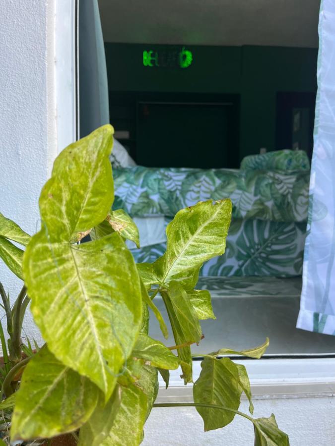 Bed & Breakfast Dici Co-living Housing Cabo San Lucas
