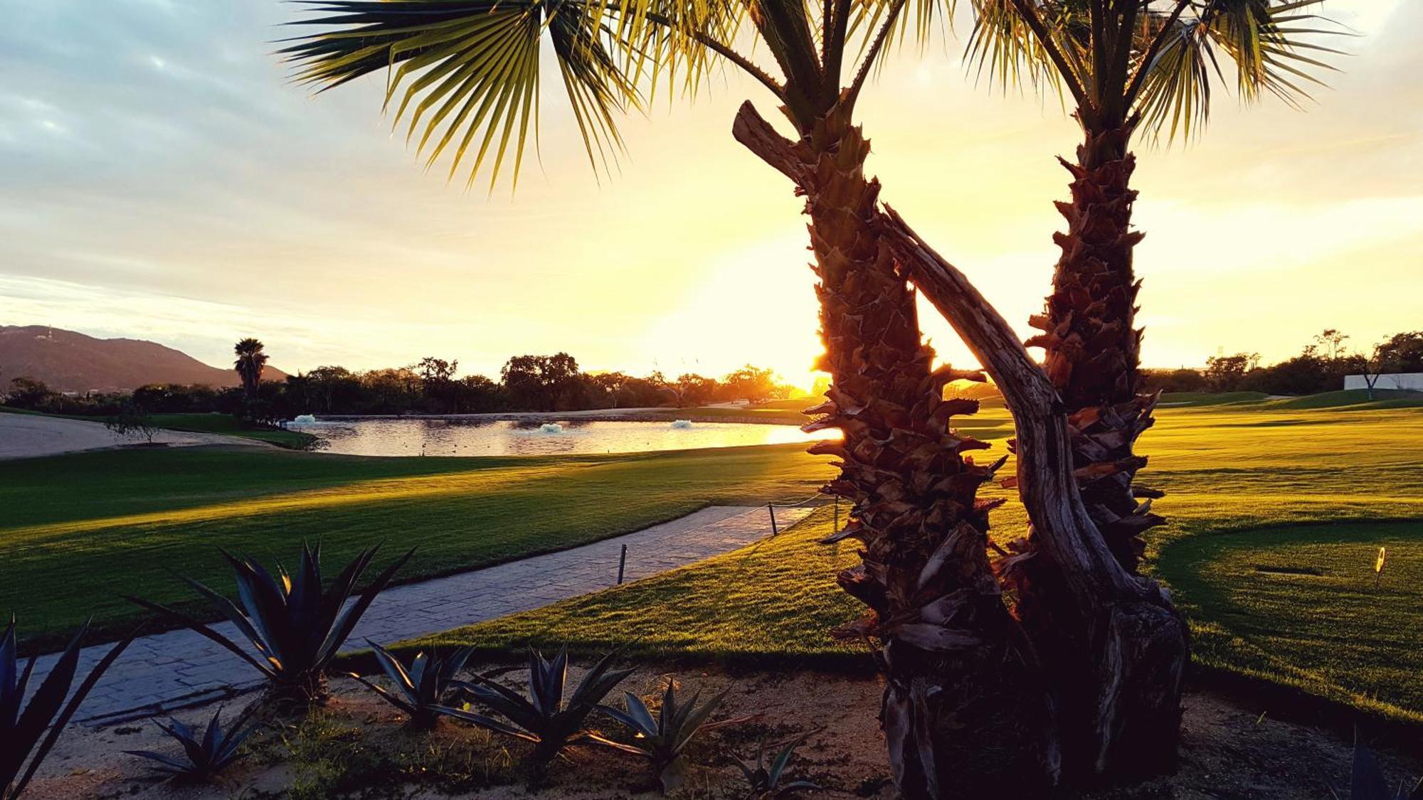 Resort Cabos Golf Resort, Trademark Collection By Wyndham