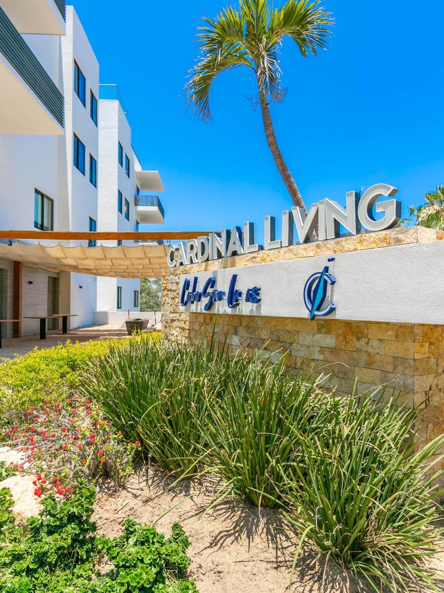 Dream At Cardinal Living Cabo San Lucas