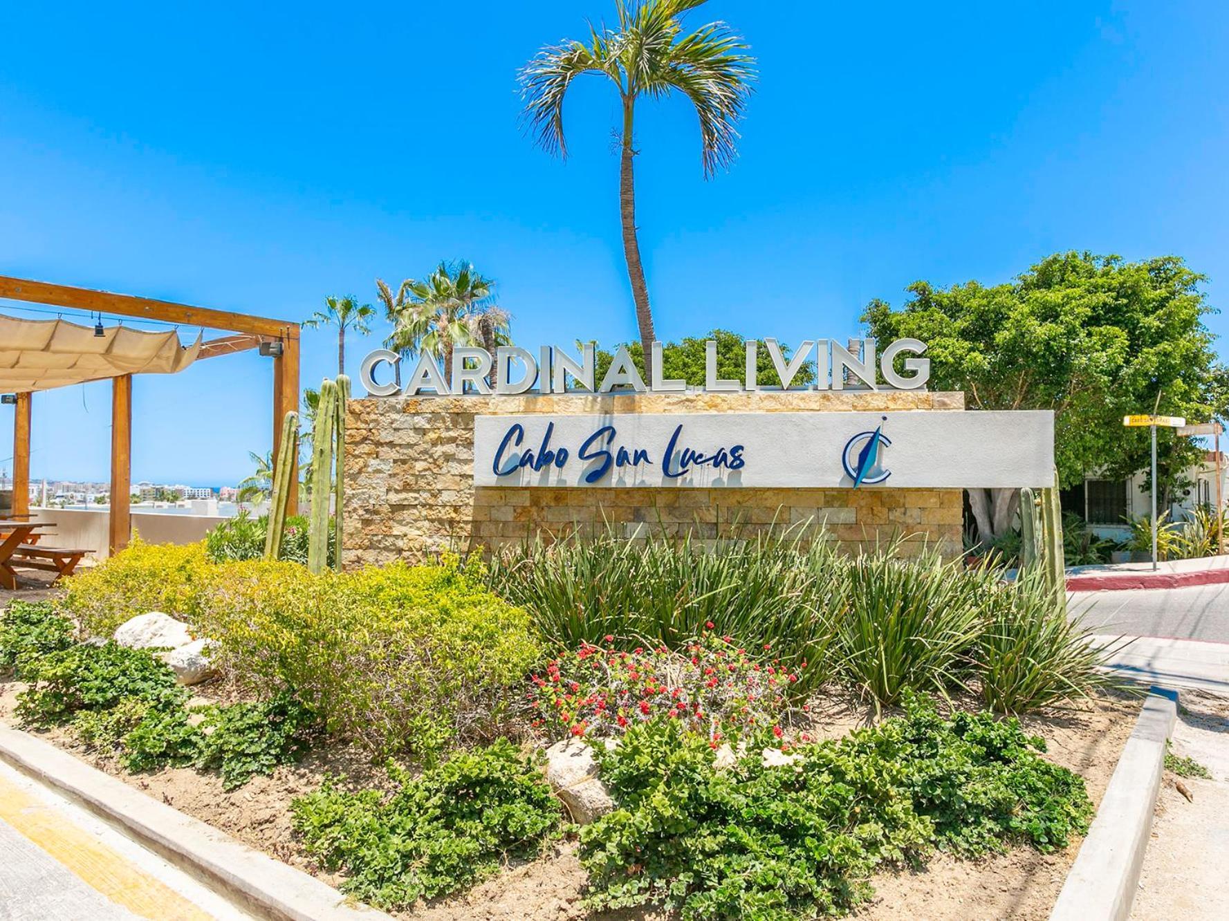 Dream At Cardinal Living Cabo San Lucas