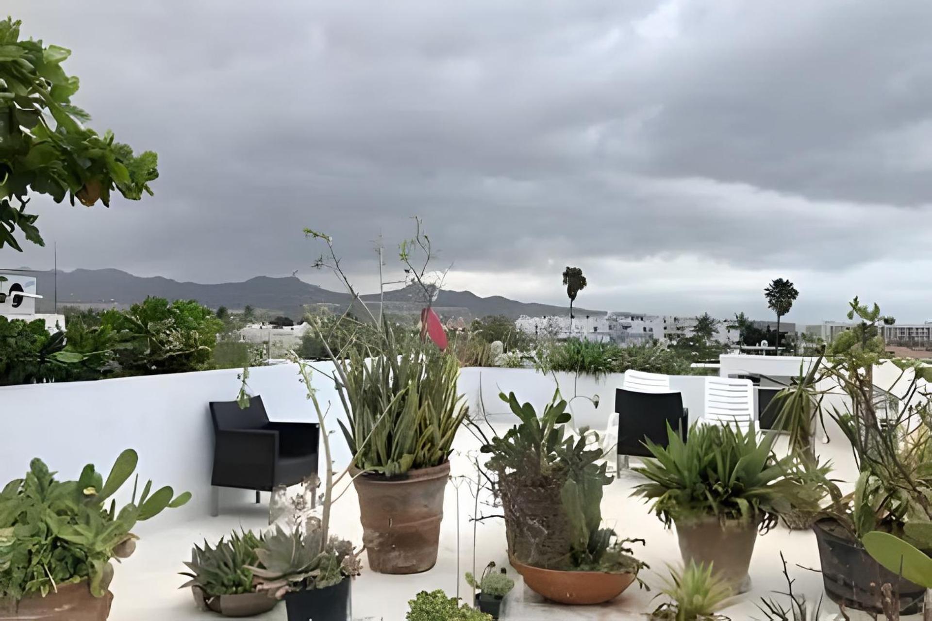 12 De Octubre Apartment Cabo San Lucas