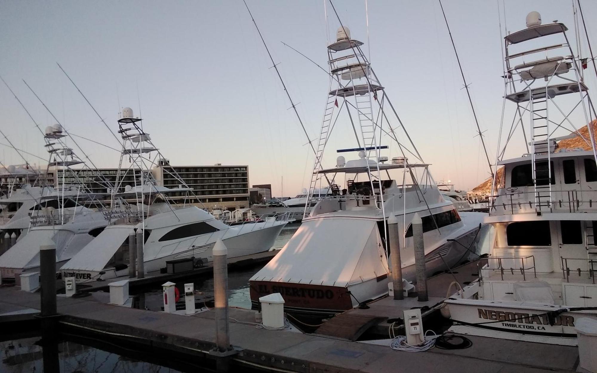 Harbour Junior *