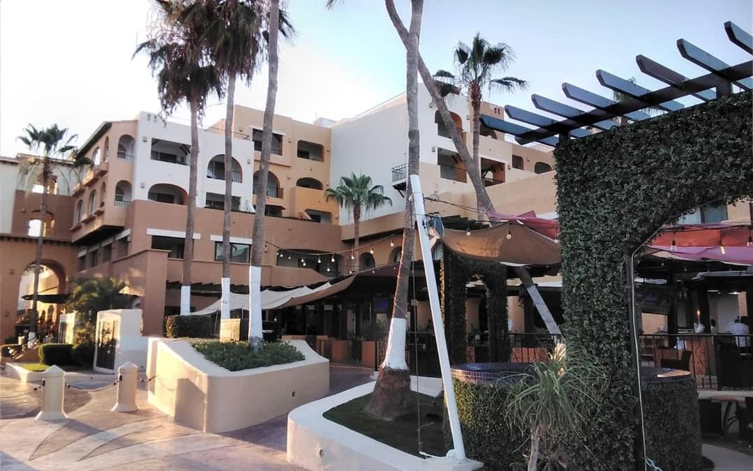 Harbour Junior Cabo San Lucas