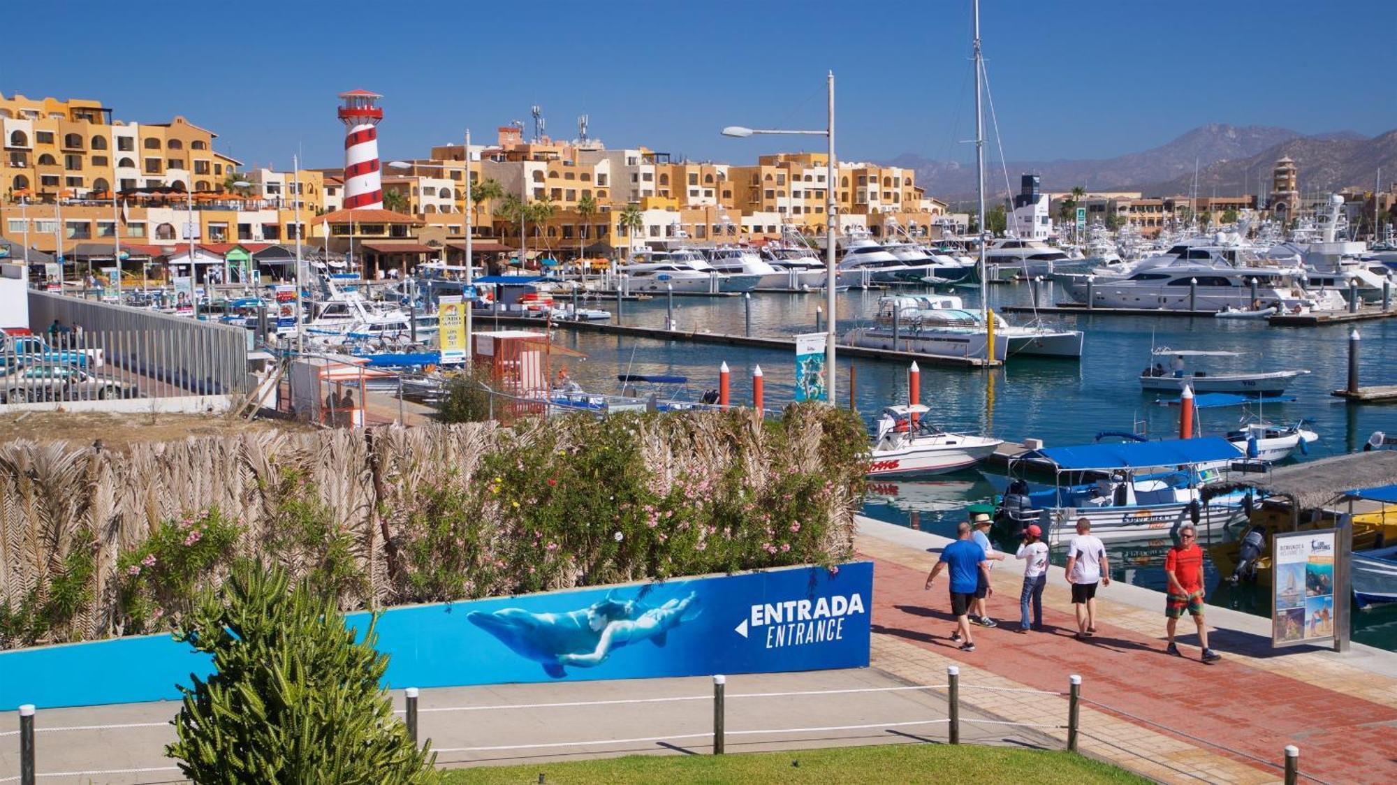 Aparthotel Harbour Junior