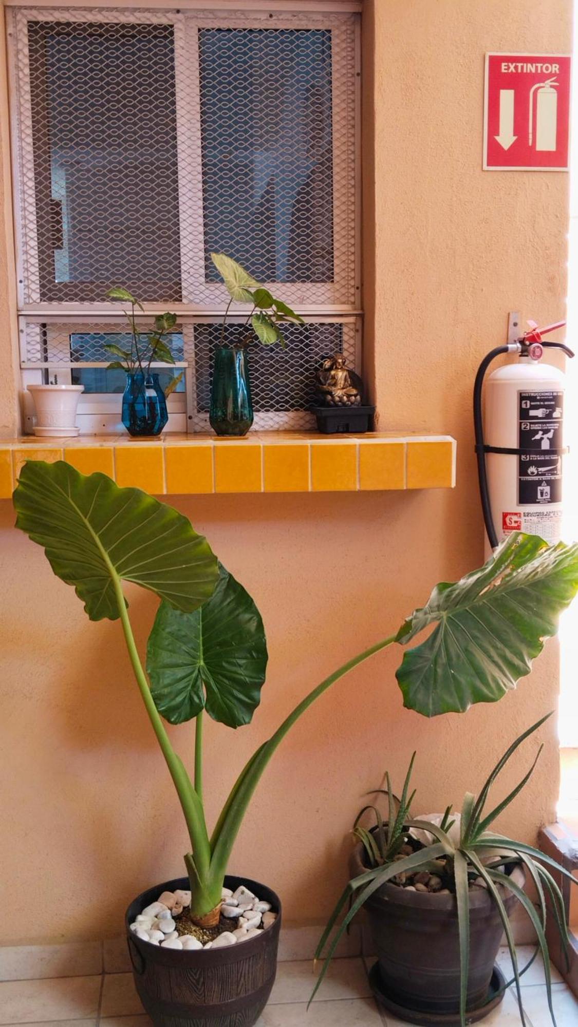 Apartamento In The Heart Of