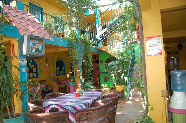 Hotel Cabo Cabo San Lucas