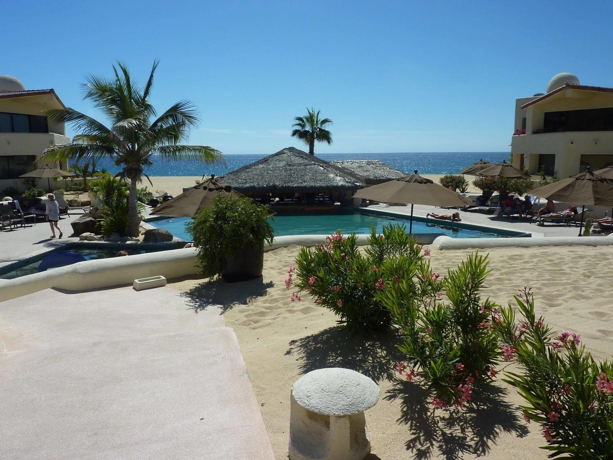 Terrasol 254